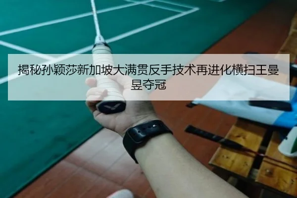 jie-mi-sun-ying-sha-xin-jia-po-da-man-guan-fan-shou-ji-shu-zai-jin-hua-heng-sao-wang-man-yu-duo-guan-2-740.jpg